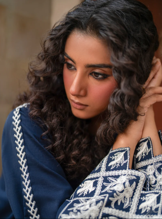 Stitched 2-Piece Embroidered Lawn Suit – Navy Blue
