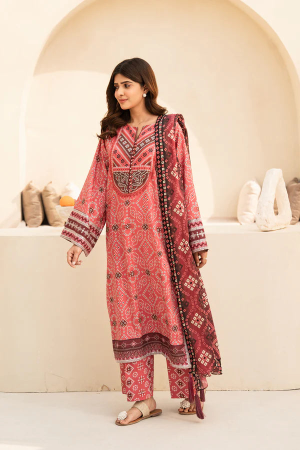 3 Piece - Printed and Embroidered Lawn Suit