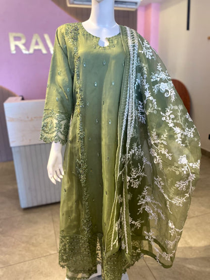 Elegant Olive Green Hand-Embellished Organza Suite