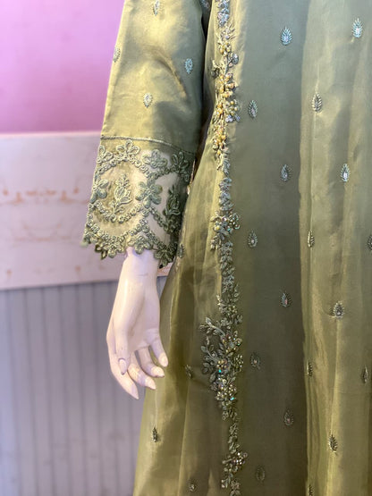 Elegant Olive Green Hand-Embellished Organza Suite