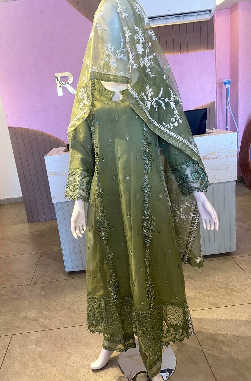 Elegant Olive Green Hand-Embellished Organza Suite