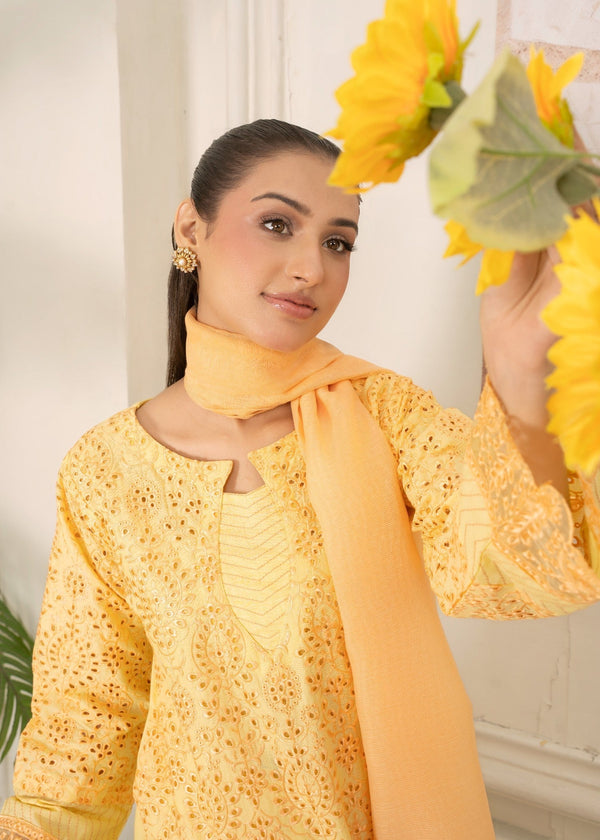 Yellow Chikankari Lawn Suit – Embroidered Summer 3 Piece Outfit