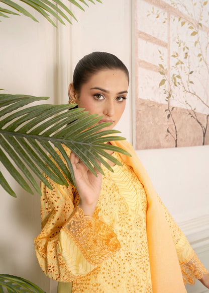 Yellow Chikankari Lawn Suit – Embroidered Summer 3 Piece Outfit